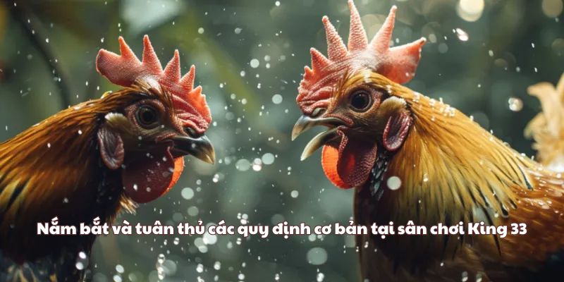 Nắm bắt và tuân thủ các quy định cơ bản tại sân chơi King33