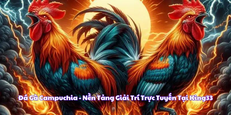 Đá Gà Campuchia - Nền Tảng Giải Trí Trực Tuyến Tại King33